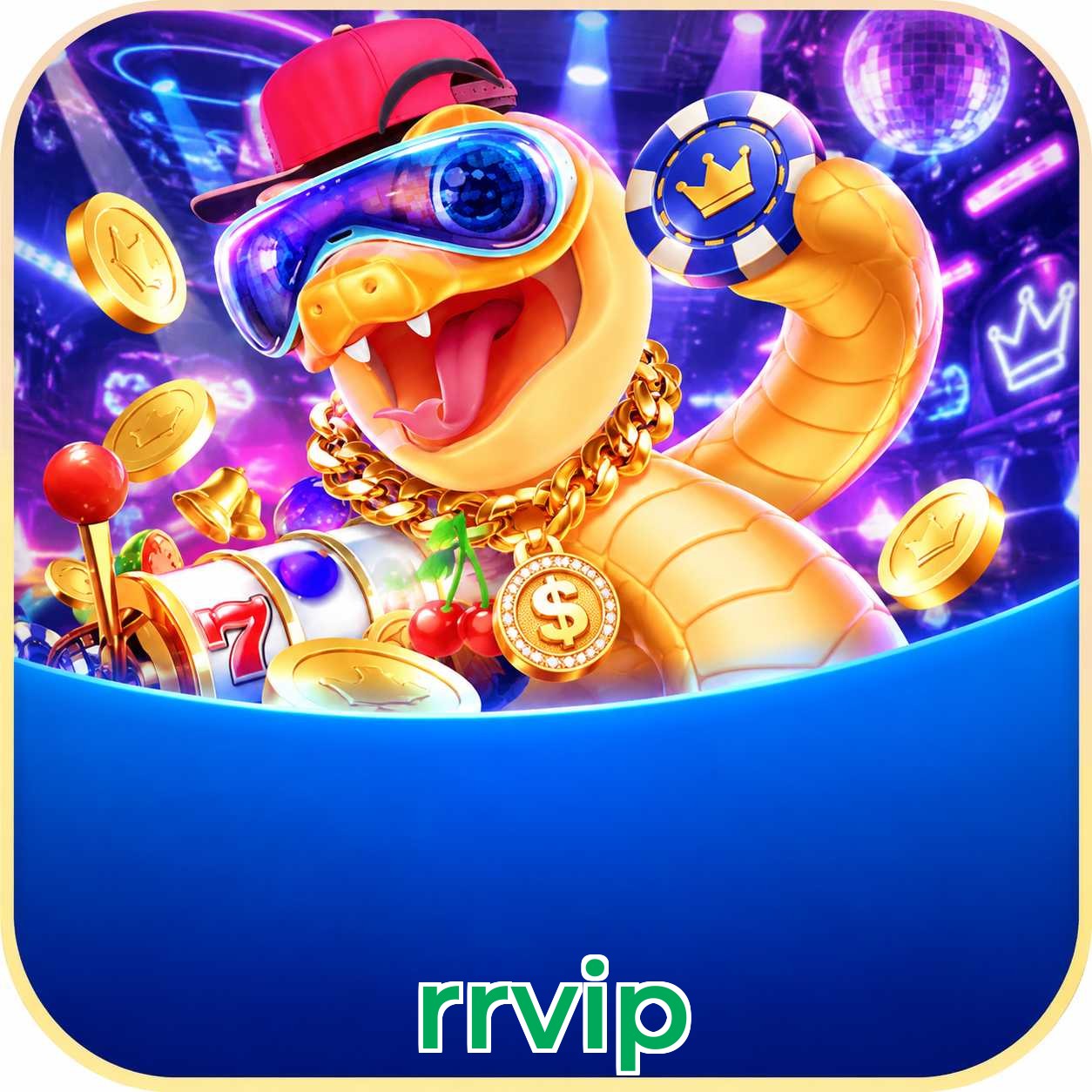 rrvip Installation Guide