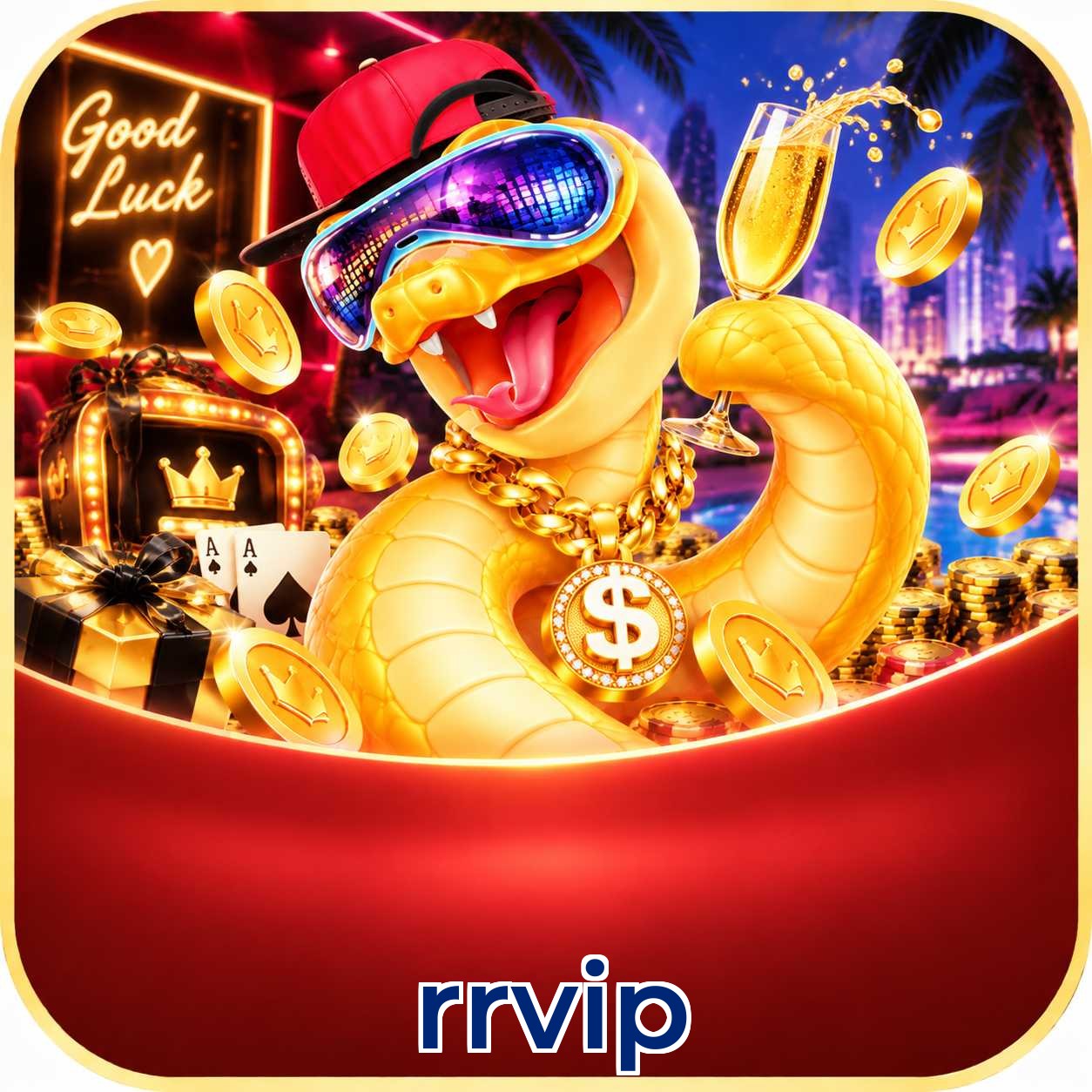 rrvip Troubleshooting