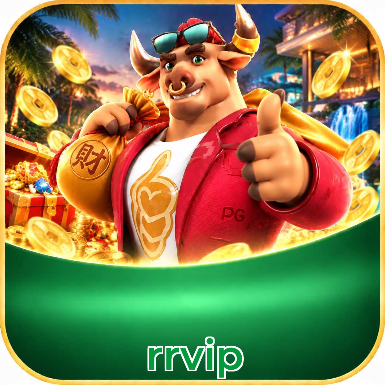 rrvip System Requirements