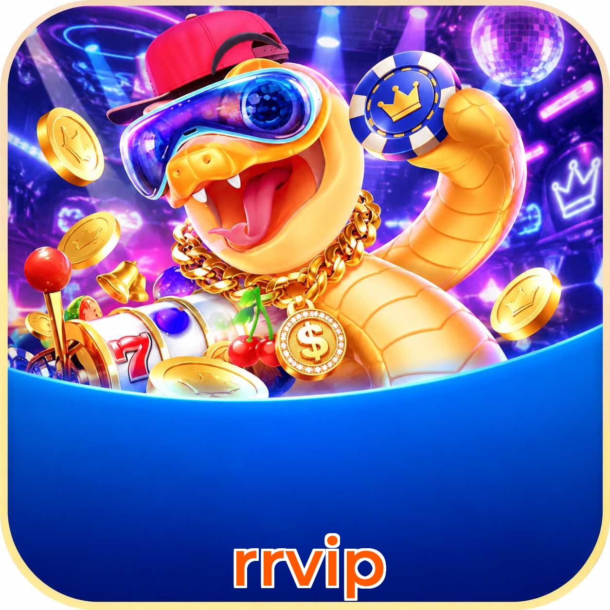 rrvip App vs Web