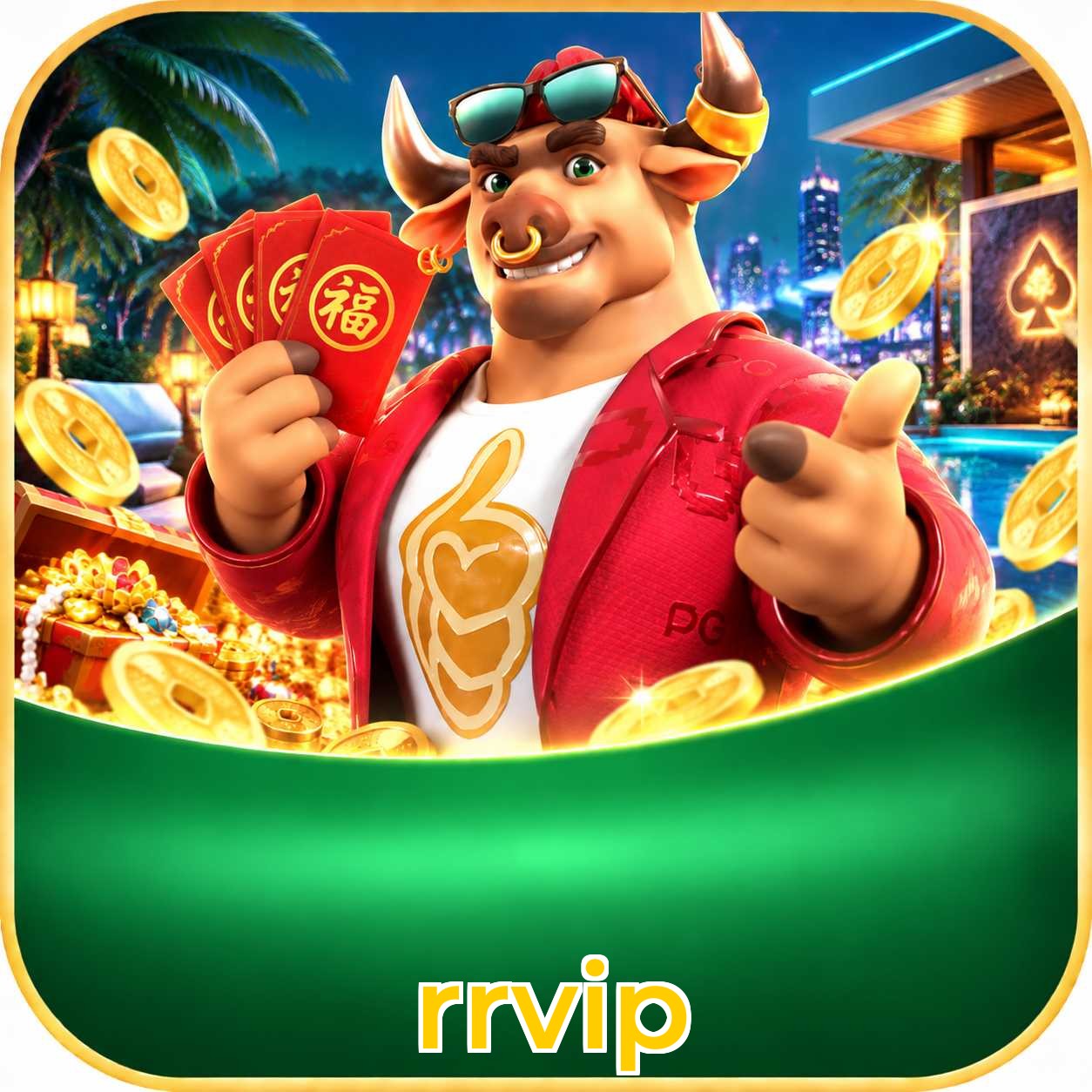 rrvip App Features