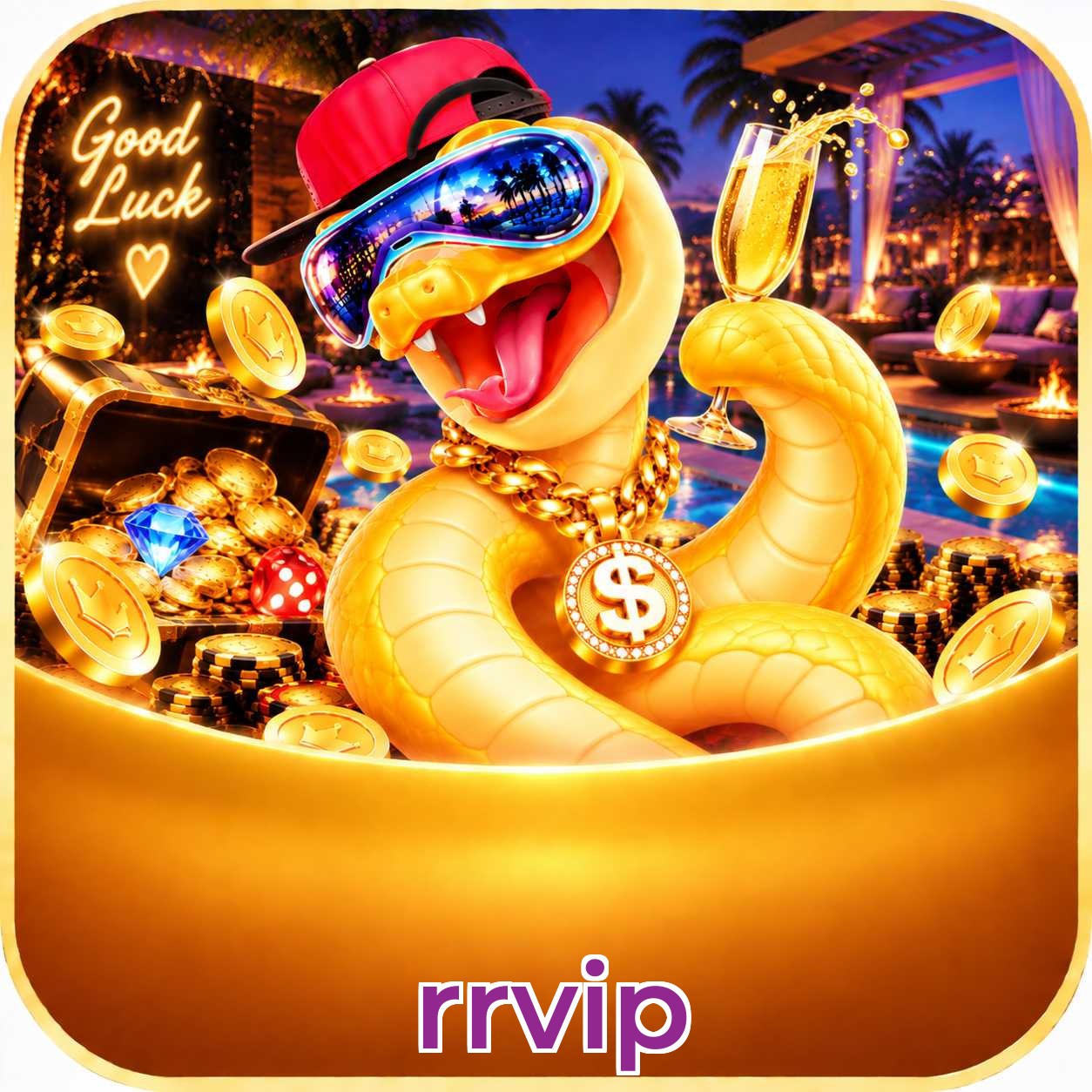 rrvip Login FAQ