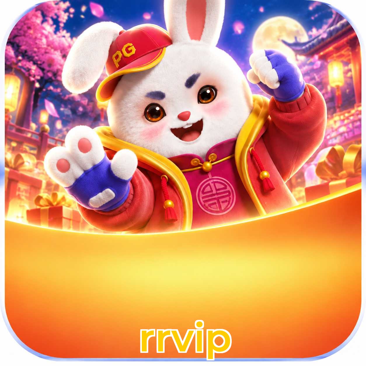 rrvip Download Speed